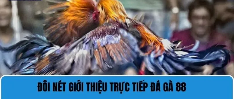 Những nét chính giới thiệu về trực tiếp đá gà 88